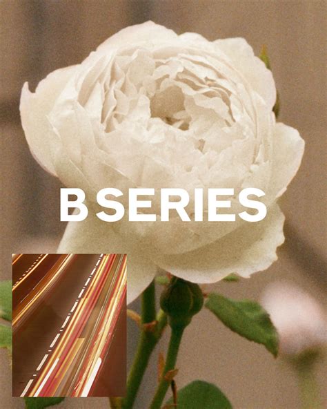 Why You Need To Know About Burberry's B Series 